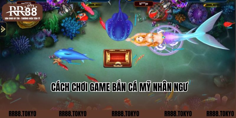 Cách chơi game bắn cá Mỹ nhân ngư