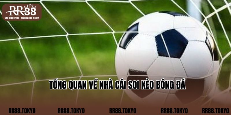 Tổng quan về nhà cái soi kèo bóng đá